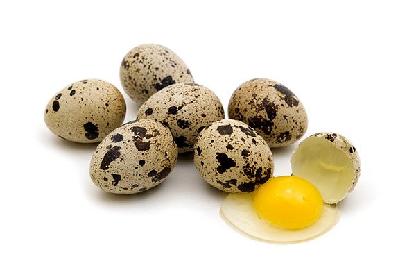 ouă de prepeliță și vedere